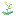 Stardust flowers re-upload