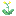Stardust flowers re-upload