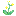 Stardust flowers re-upload